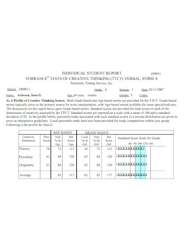 individual student report format