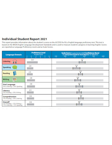 individual student report sample