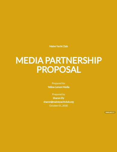 media partnership proposal sample