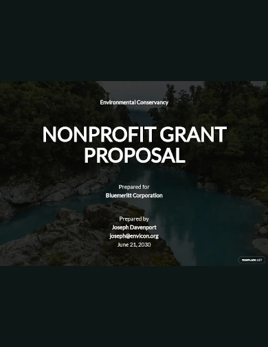 nonprofit grant proposal sample