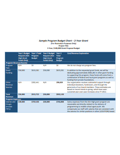 nonprofit program budget chart