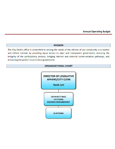 organizational operating budget format