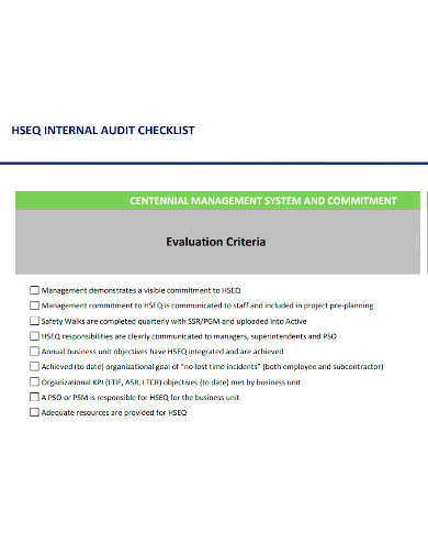 printable internal audit checklist