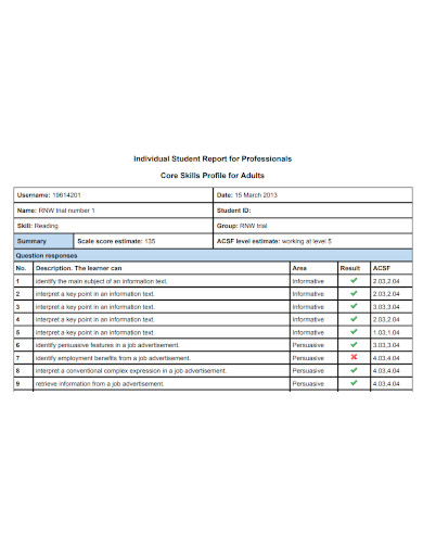 professional individual student report