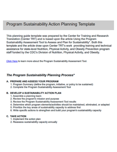 program sustainability action plan