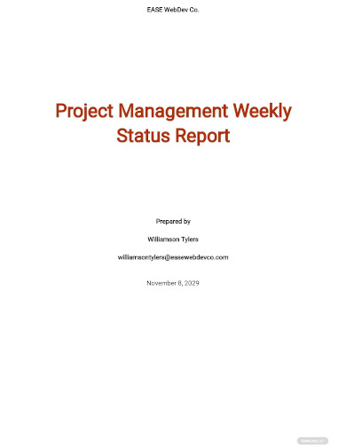 project management weekly status report