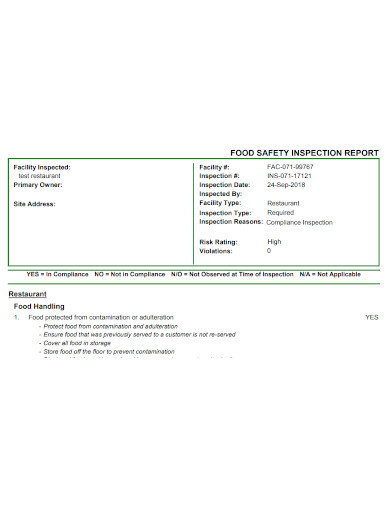 standard food safety inspection report