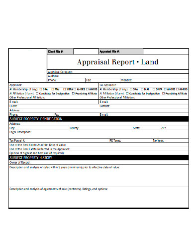 standard land appraisal report