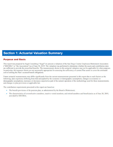 summary actuarial valuation report