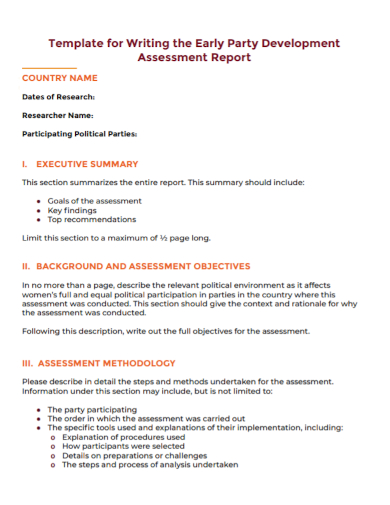 writing development assessment report
