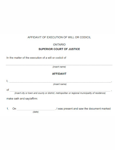 affidavit of execution format
