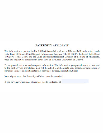 affidavit of paternity format