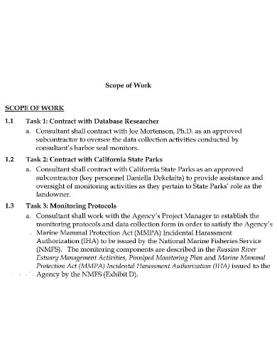 agency contract scope of work