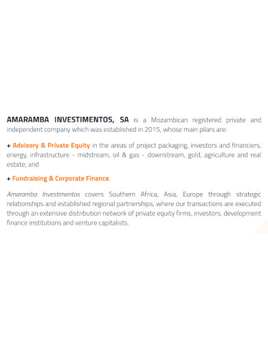 basic investment company profile