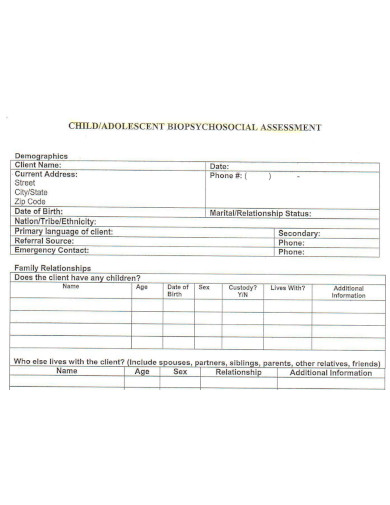 child biopsychosocial assessment sample