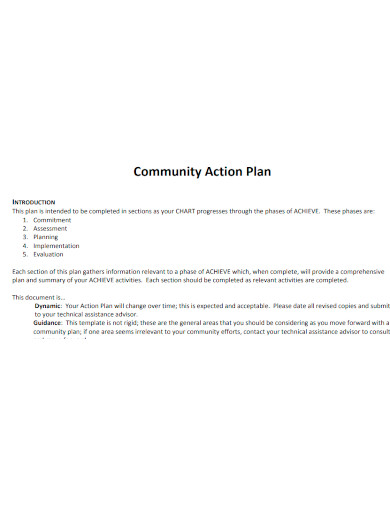 community action plan format