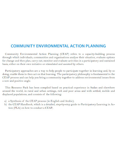 community environmental action plan