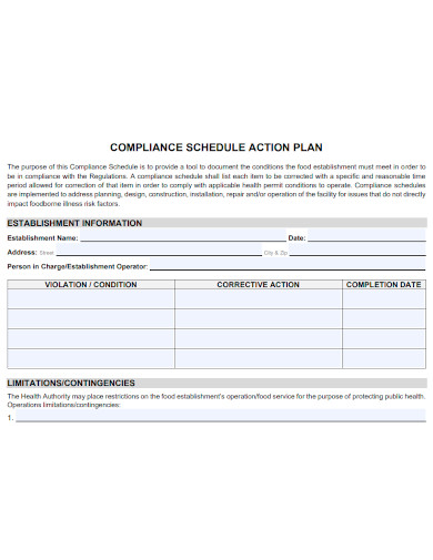 compliance schedule action plan