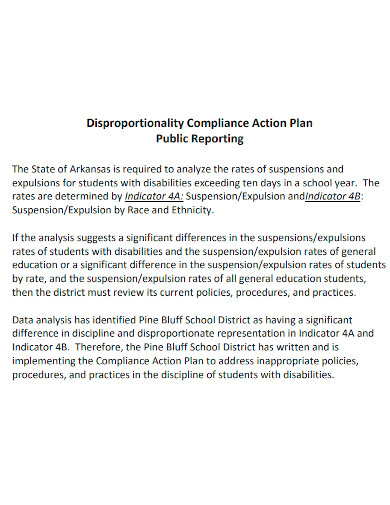 disproportionality compliance action plan