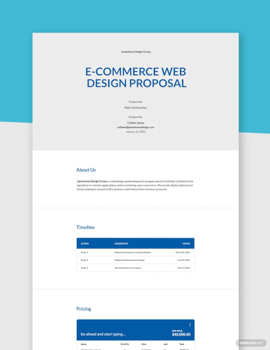 e commerce web design proposal template