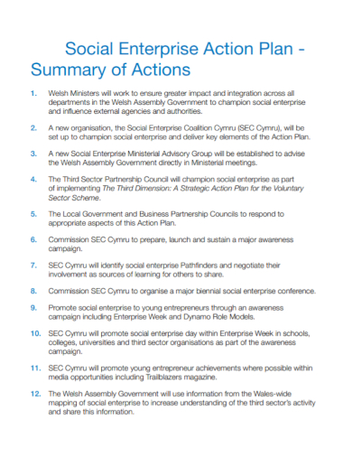enterprise summary action plan