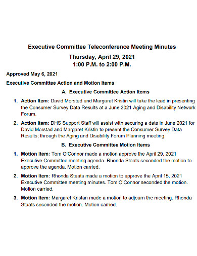 executive teleconference meeting minutes