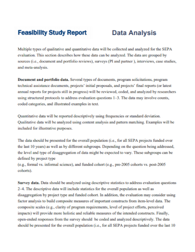 feasibility data analysis report