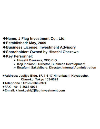 investment company profile sample