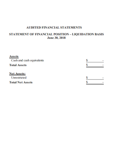 liquidation audited financial statement