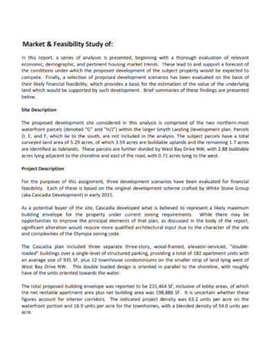 market feasibility project report