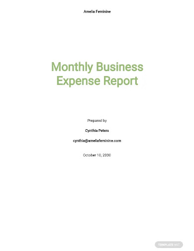 monthly business expense report