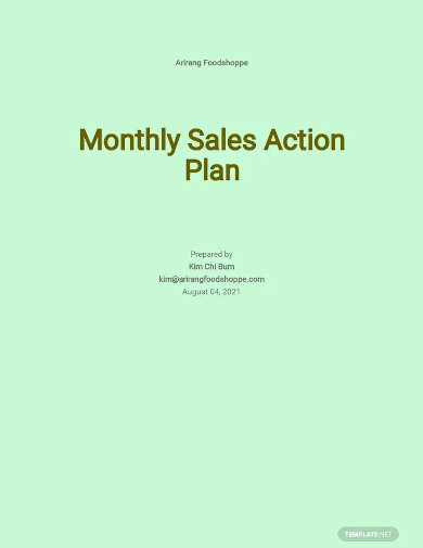 monthly sales action plan