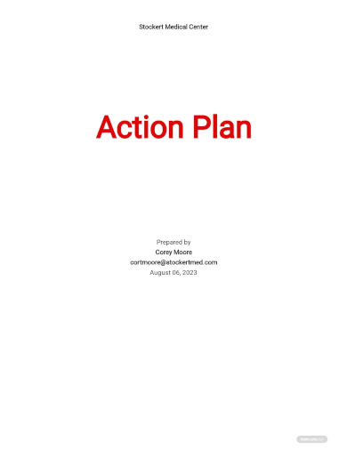 nursing action plan template