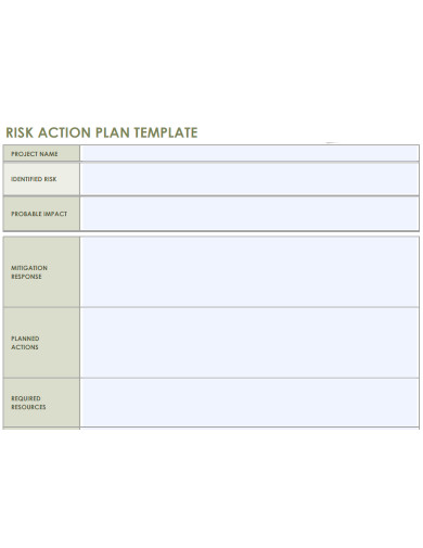 printable risk action plan