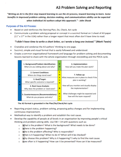 problem solving report