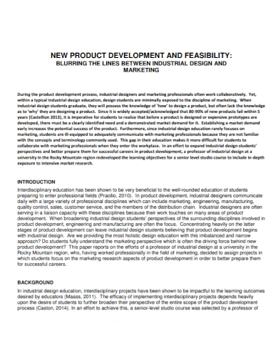 product development feasibility report