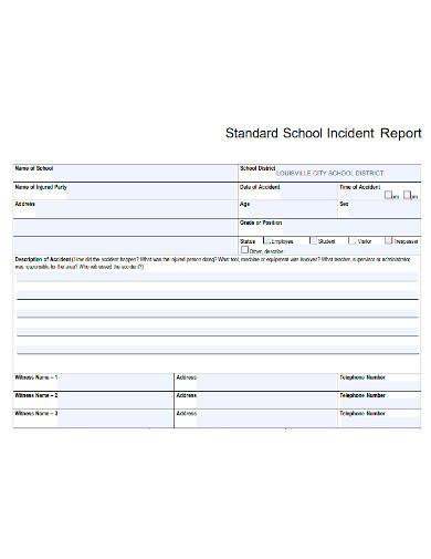 professional school incident report