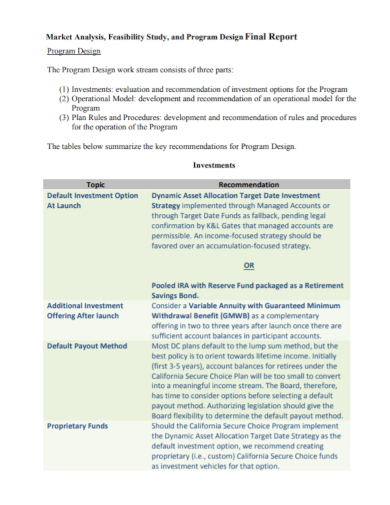 program design feasibility report