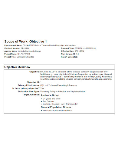 project evaluation scope of work