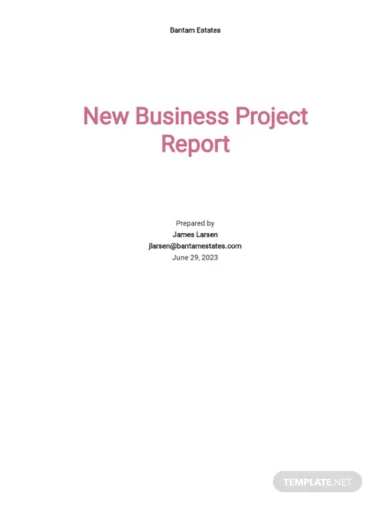 project report for new business template