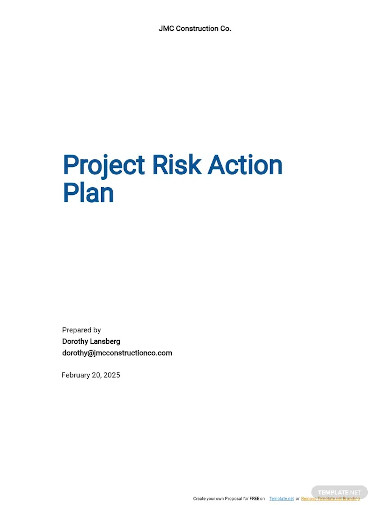 project risk action plan