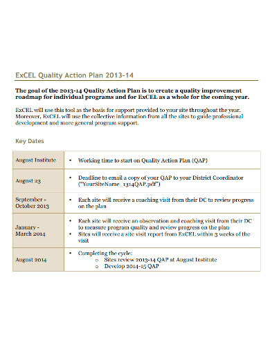 quality action plan format