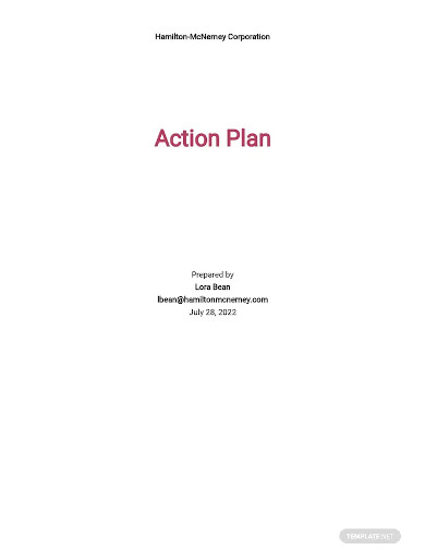 risk action plan sample