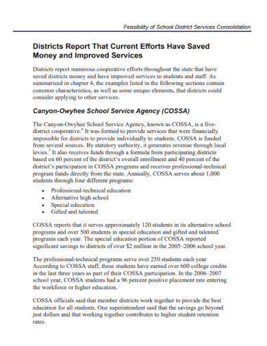 school service agency feasibility report