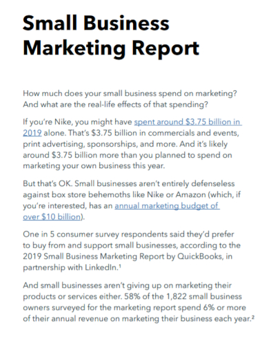 small business marketing report