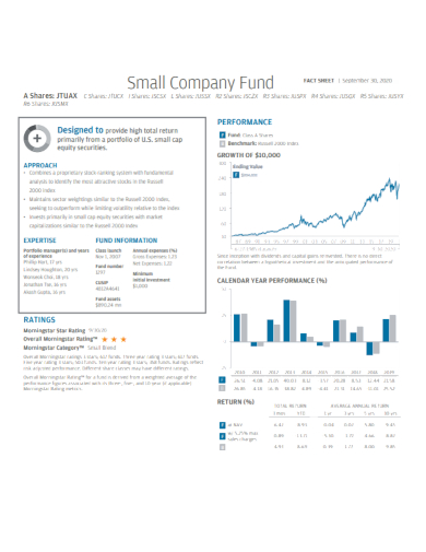 small company fund fact sheet