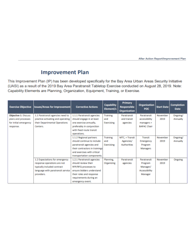 standard after action improvement plan