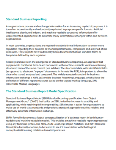 standard business model report