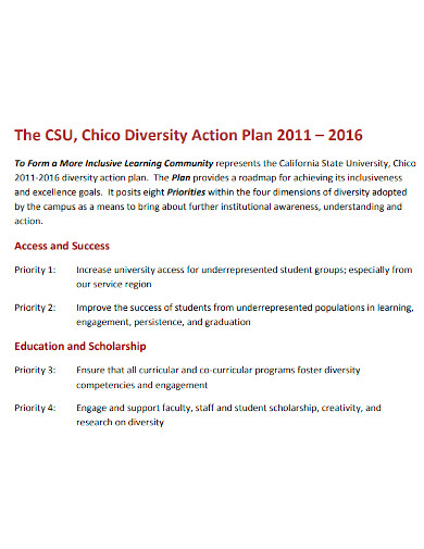 standard diversity action plan