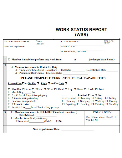 standard work status report